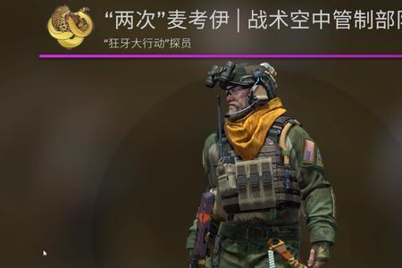 csgo高手都用哪个探员