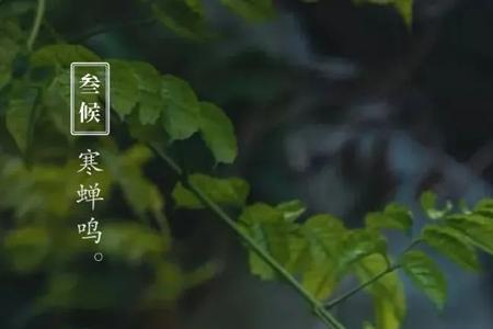 忽而骤雨结局