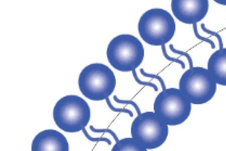 液体分子是什么键