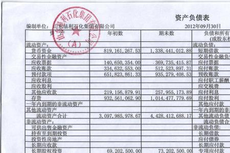 财务报表企业类型怎么填新公司