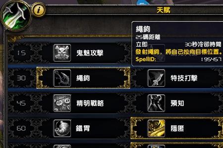 魔兽世界100狂徒贼要什么属性