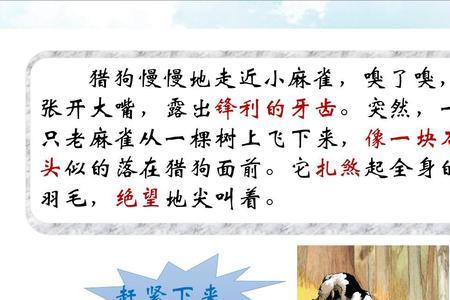 四年级课文麻雀怎么向内容提问