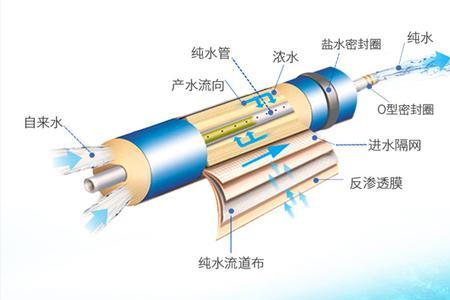 净水器反渗透膜哪个是排污口