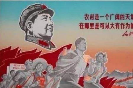 知青是什么意思啊