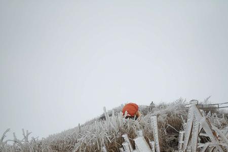 暮雪千山萧山最后去哪了