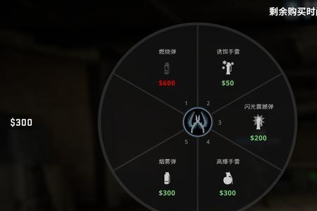 counterstrike为什么一直闪退