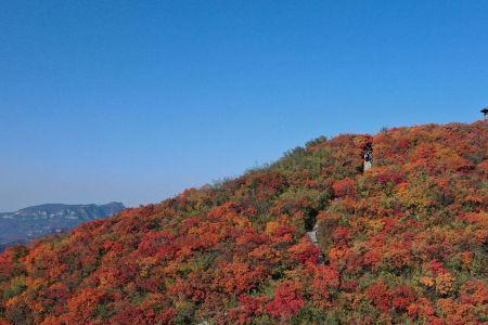 层林叠翠词语解释