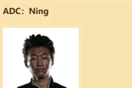 ning王车队哪些人