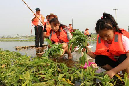 蔬菜种子在水上漂的好吗