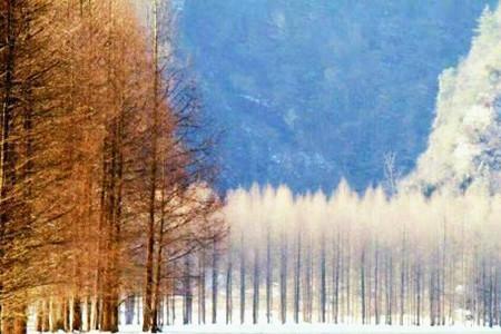 为啥成都冬季有雪景区