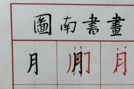 服字为什么是月字旁