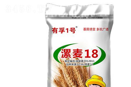 漯麦49小麦品种审定公告