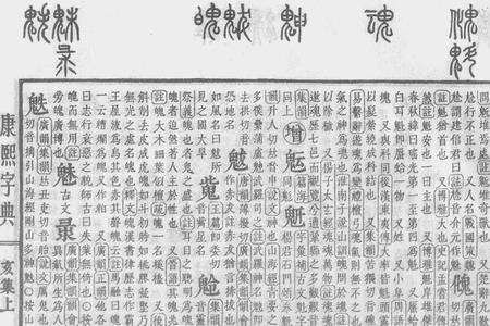 用魅字结尾组两个字的词