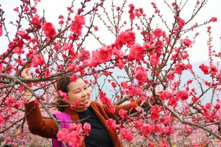 九月桃花盛开是何征兆