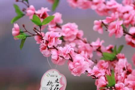 李京泽桃花劫什么意思