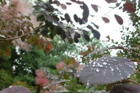 小雨绵绵下不停打油诗