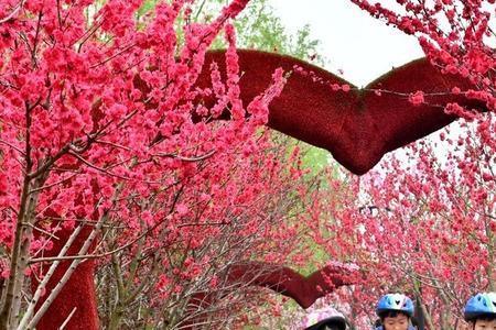 什么的桃花舞姿翩翩填空