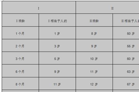 出生后第一年几岁