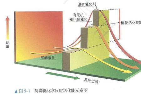 化学有序能与无序能的区别