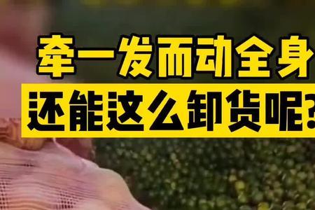 牵一发而动全身的出处