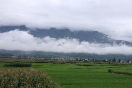 一望无际苍茫茫写一句话