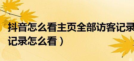 主页访客记录多久显示一次