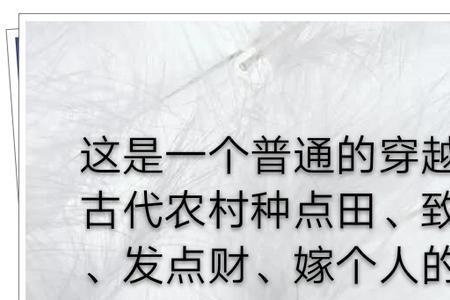 怎么形容小富