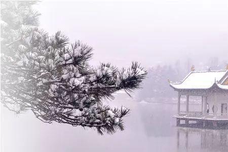 细雨生寒未有霜全诗解释