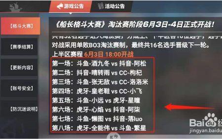 船长格斗大赛总决赛赛制