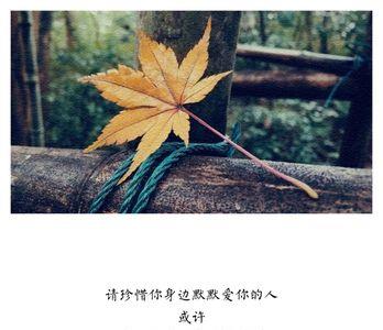 离不开我爱的人完整版原唱