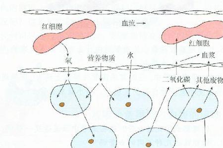 什么是物质交换原理