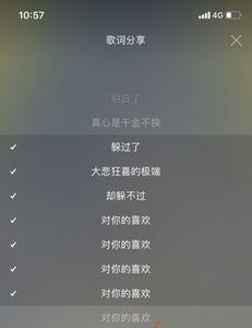 网易云歌词怎么在游戏里面显示