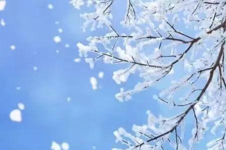 瑞气兆春来雪飘入人怀什么意思