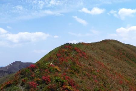 兔儿岭小说原著