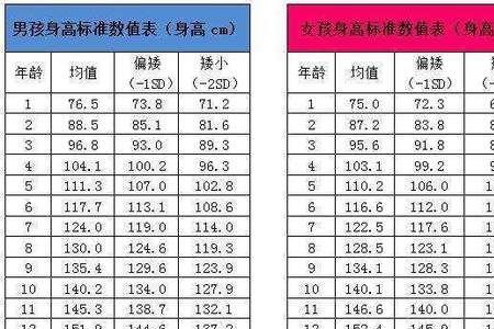 泰国男性平均身高2020