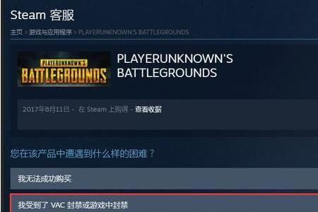 pubg跳窗后立马没声音