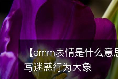 emm卡是什么意思啊