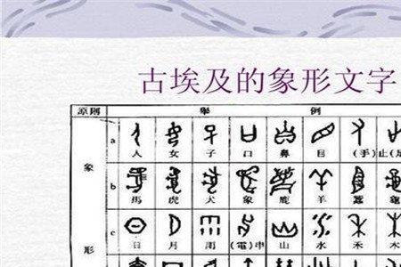 古代与动物长相相似的字有哪些