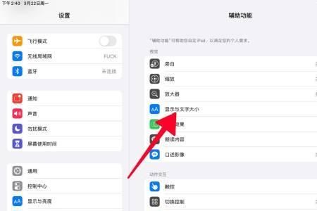 ipad如何设置轻触亮屏