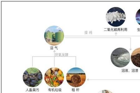 生物发电是怎么回事