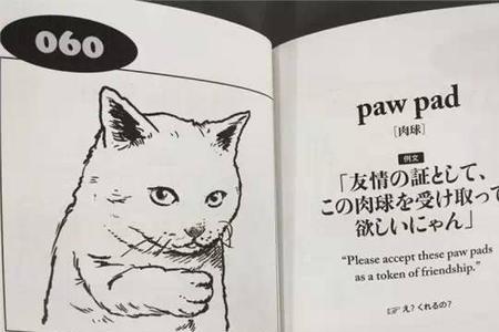 paw可数吗