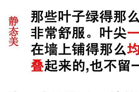 漾起波纹我想到了什么成语