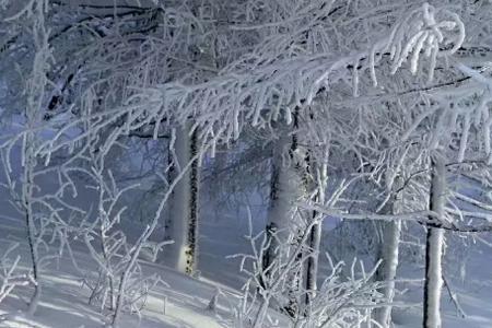 人像雪花一样飞很高又融化含义