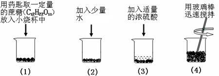 叶圆片上浮的实验原理及过程