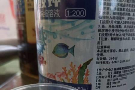 下黄粉多久换水