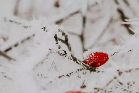 一念风起一念冬至什么意思