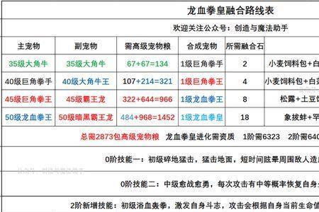 创造与魔法暴龙号资质