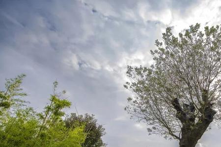 董永活到多少岁