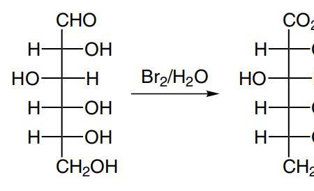 NaHCO3与CO2的反应方程式