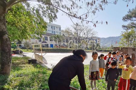 种植主题什么意思